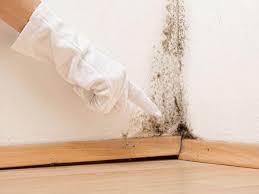 Best Biohazard Mold Removal  in West Linn, OR